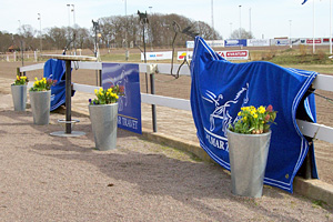 Service åt företag, prenumeration blomlådor, skötsel m.m.