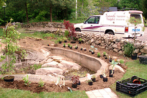 Plantering runt befintlig damm